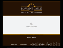 Tablet Screenshot of larue-vins.com
